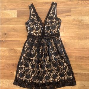 Romeo & Juliet Couture Black and Tan Fit and Flare Mini Dress